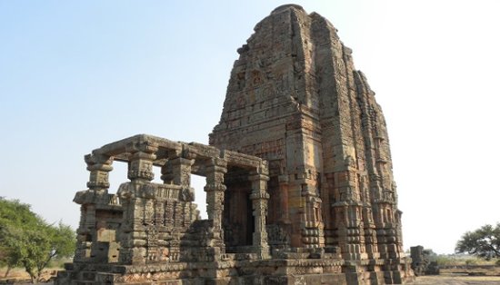 Image 4